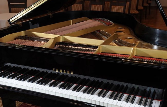 Concerto di pianoforte con musica di Chopin - Foto 6