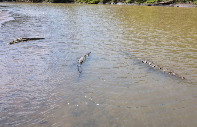 Safari de crocodiles dans la jungle tropicale - Photo 2