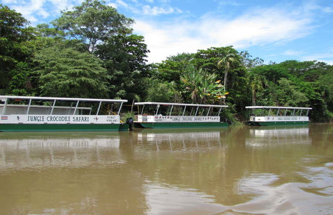 Safari de cocodrilos en la selva tropical - Foto 7