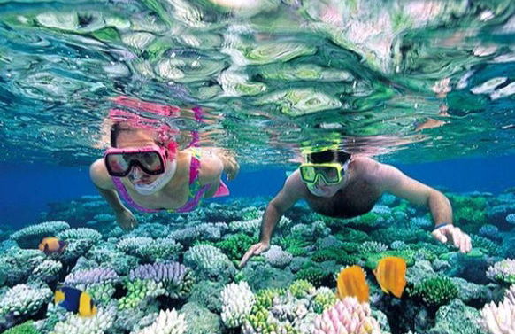 Snorkel en Unawatuna - Foto 3