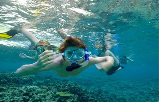 Snorkel en Unawatuna - Foto 4