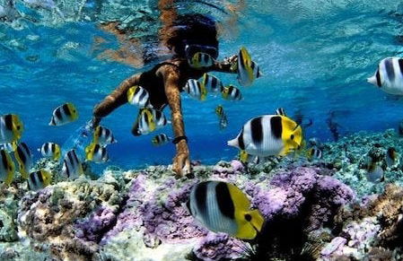 Snorkel en Unawatuna - Foto 2