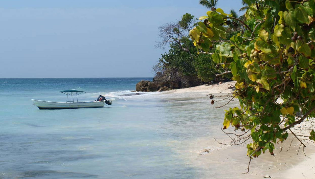 Samaná Day Trip - Foto 1