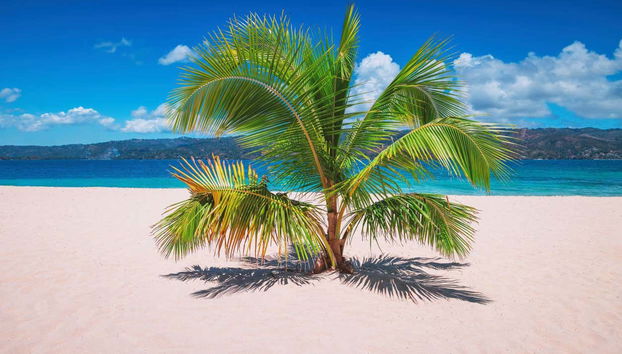 Samaná Day Trip - Foto 2