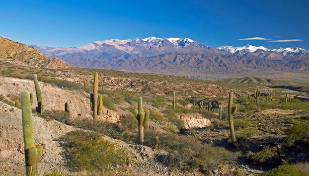 Excursion à Cachi - Photo 2