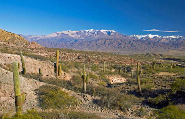 Cachi Day Trip - Foto 2