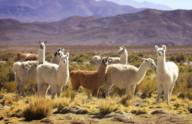 Cachi Day Trip - Photo 3