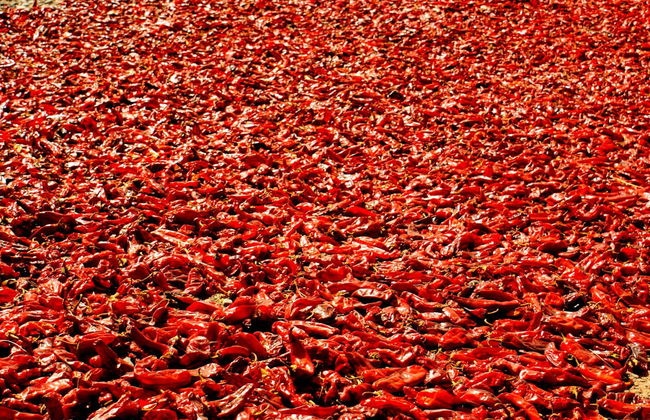 Escursione a Cachi - Foto 7