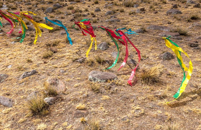 Pampa Galeras Barbara D'Achille Trip - Foto 6