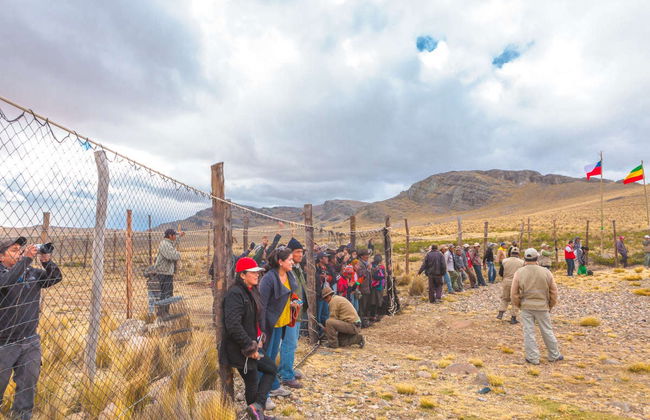 Pampa Galeras Barbara D'Achille Trip - Foto 4