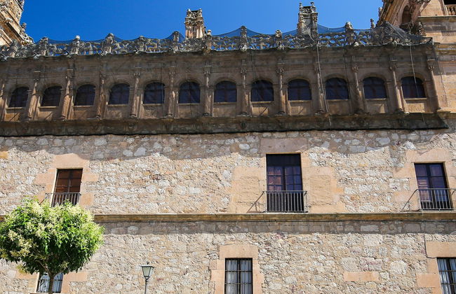 Tour por la Salamanca napoleónica - Foto 7