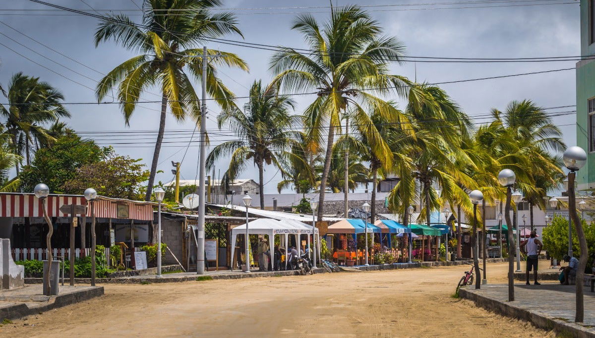 Isabela Island Bike Rental - Photo 1