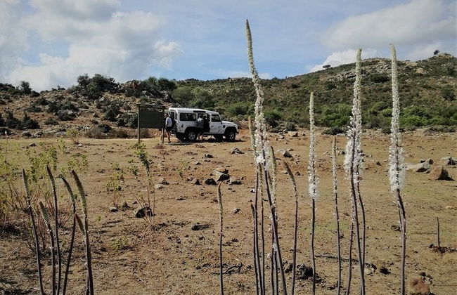 Tour en 4x4 por el golfo de Orosei - Foto 3