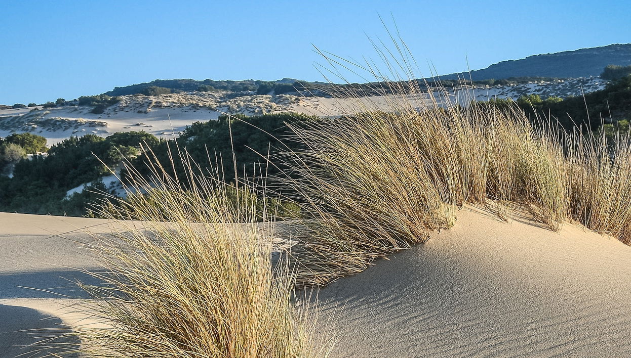 Tour in Orosei - Photo 1