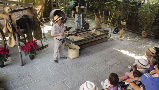 Excursão a Xalapa, Xico e Coatepec - Foto 4