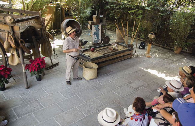 Excursión a Xalapa, Xico y Coatepec - Foto 4