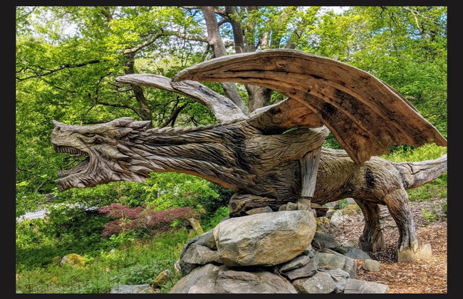 Tour dei castelli di Conwy, Dolbadarn e Caernarfon - Foto 4
