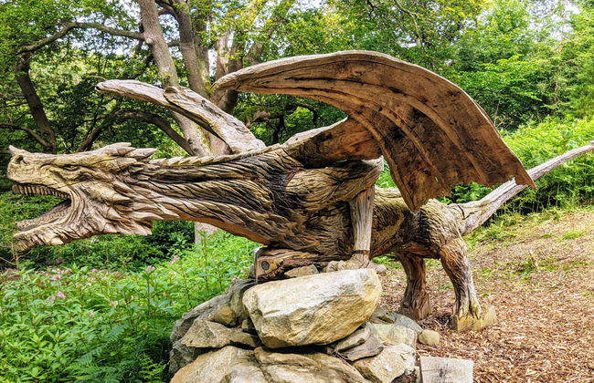 Tour dei castelli di Conwy, Dolbadarn e Caernarfon - Foto 16