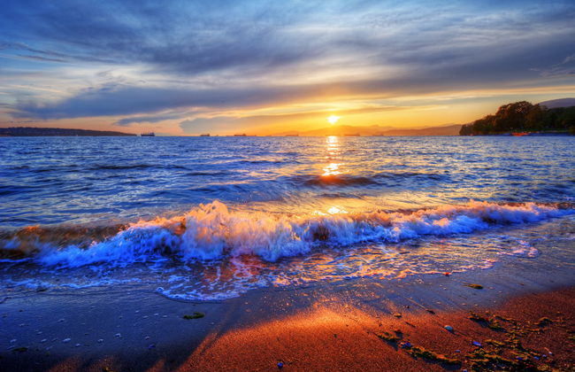 Ixtapa Island Day Trip - Foto 1