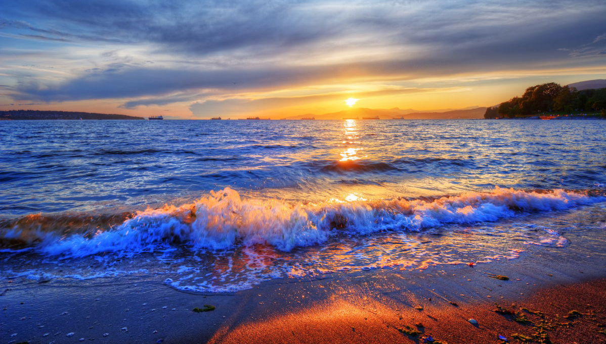 Ixtapa Island Day Trip - Foto 1