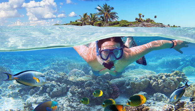 Ixtapa Island Day Trip - Foto 2