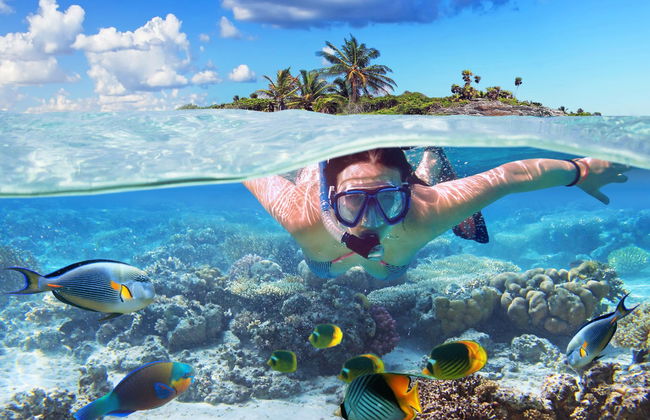 Ixtapa Island Day Trip - Foto 2