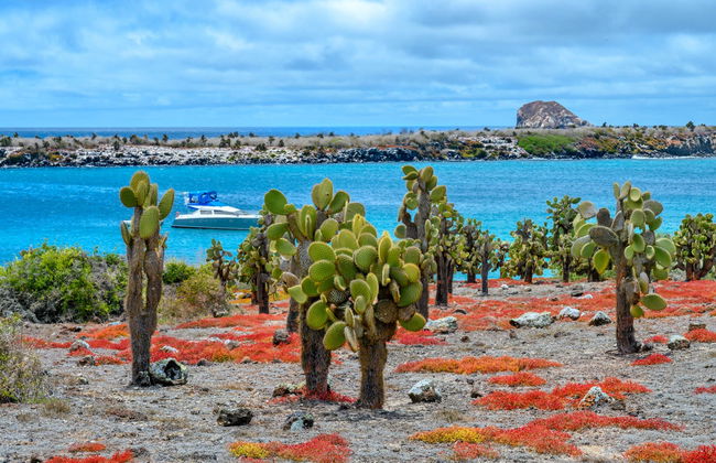 Excursión a la isla Plaza Sur - Foto 2