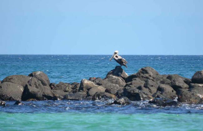 San Cristóbal Beaches Tour - Photo 2