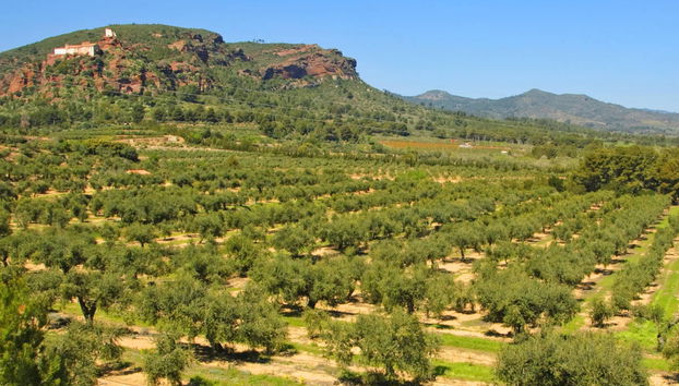 Paseo en catamarán - Foto 2