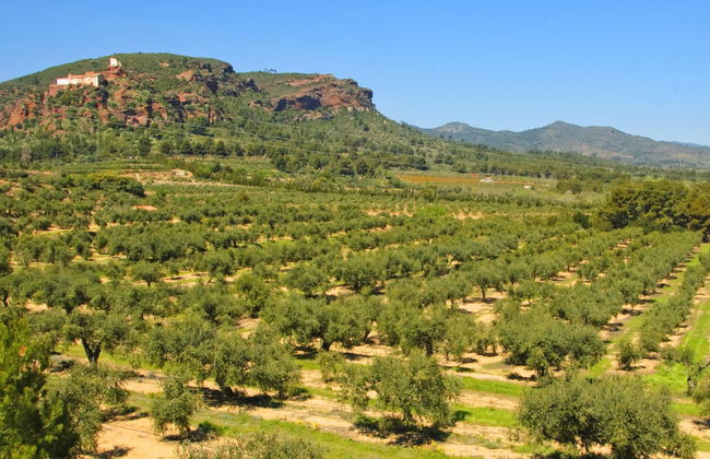 Paseo en catamarán - Photo 3