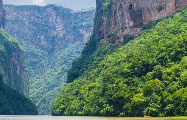 Miradores del Cañón del Sumidero, Zoomat y Cristo de Chiapas - Foto 4