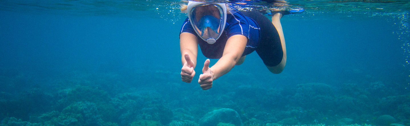 Snorkeling à Praia do Forte - Photo 1