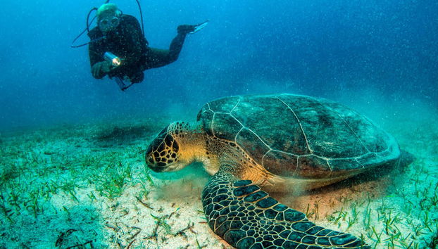 Scuba Diving in Kemer - Foto 5
