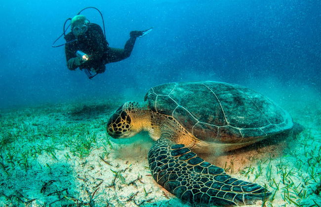 Scuba Diving in Kemer - Foto 5