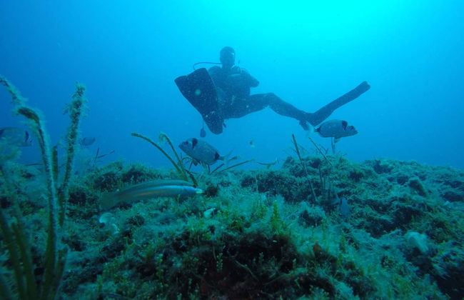 Scuba Diving in Kemer - Foto 1