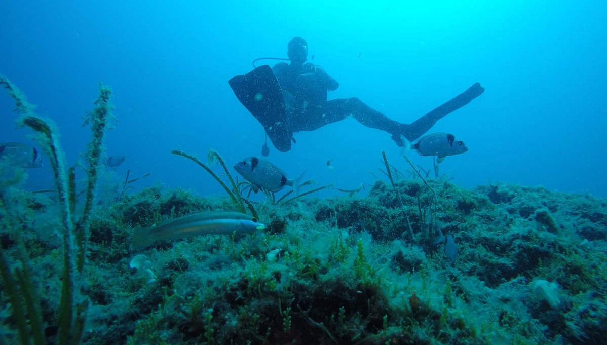 Scuba Diving in Kemer - Foto 1