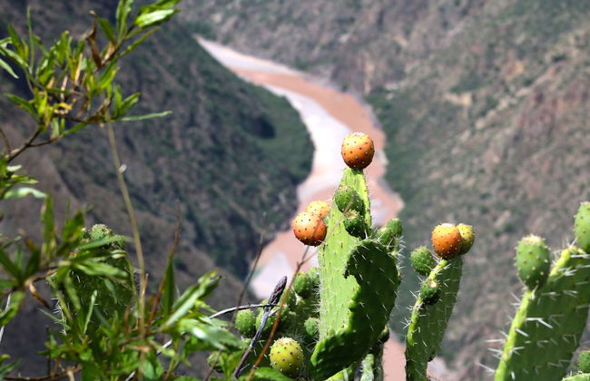 Escursione a Huatuscalla e Huanta - Foto 5