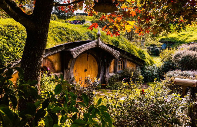 Excursion à Hobbiton + Grottes de Waitomo - Photo 4