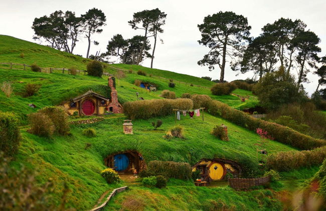 Excursion à Hobbiton + Grottes de Waitomo - Photo 2