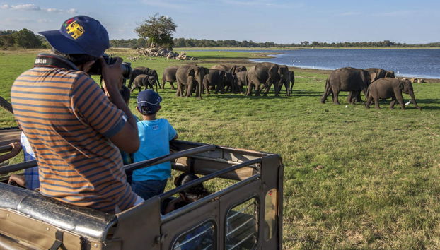 Private Minneriya National Park Safari - Foto 4
