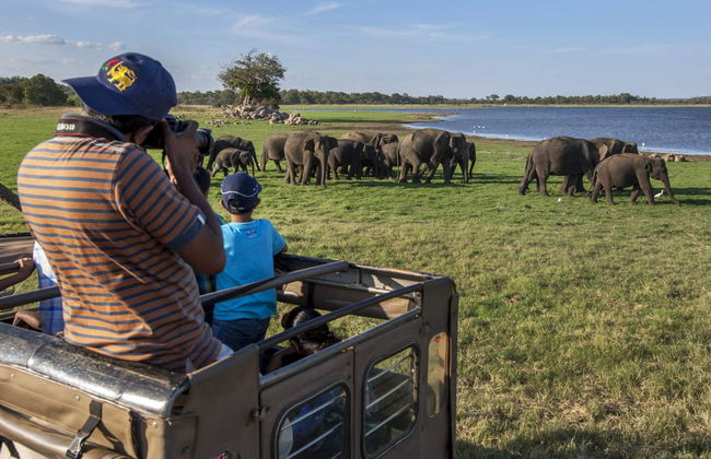 Private Minneriya National Park Safari - Foto 4