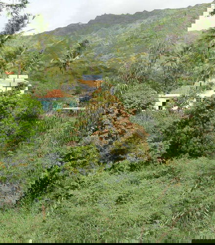 Foto de Excursión a Assomada