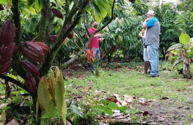 Tour del chocolate por Guápiles - Foto 2