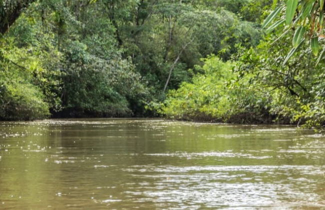 Paseo en canoa por el río Tundó - Foto 8