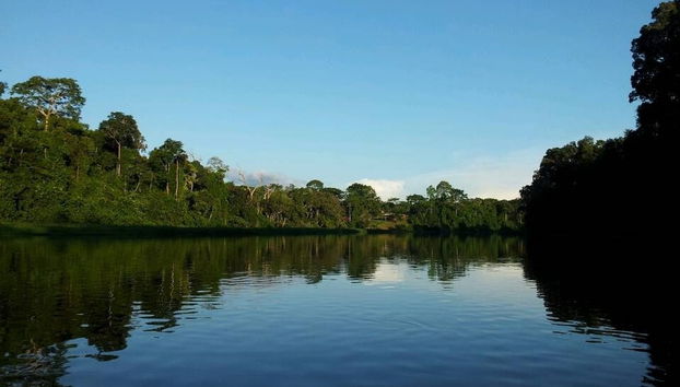 Excursión al Parque Nacional Mefou y reserva forestal Ebogo - Foto 2