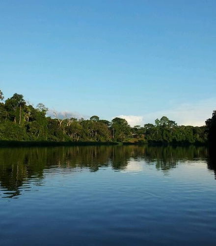 Foto de Excursión al Parque Nacional Mefou y reserva forestal Ebogo