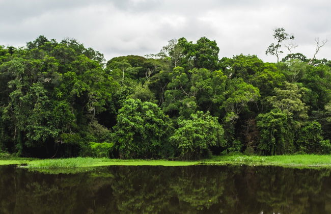 Excursión al Parque Nacional Mefou y reserva forestal Ebogo - Foto 5