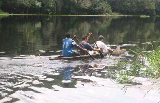 Excursión al Parque Nacional Mefou y reserva forestal Ebogo - Foto 4