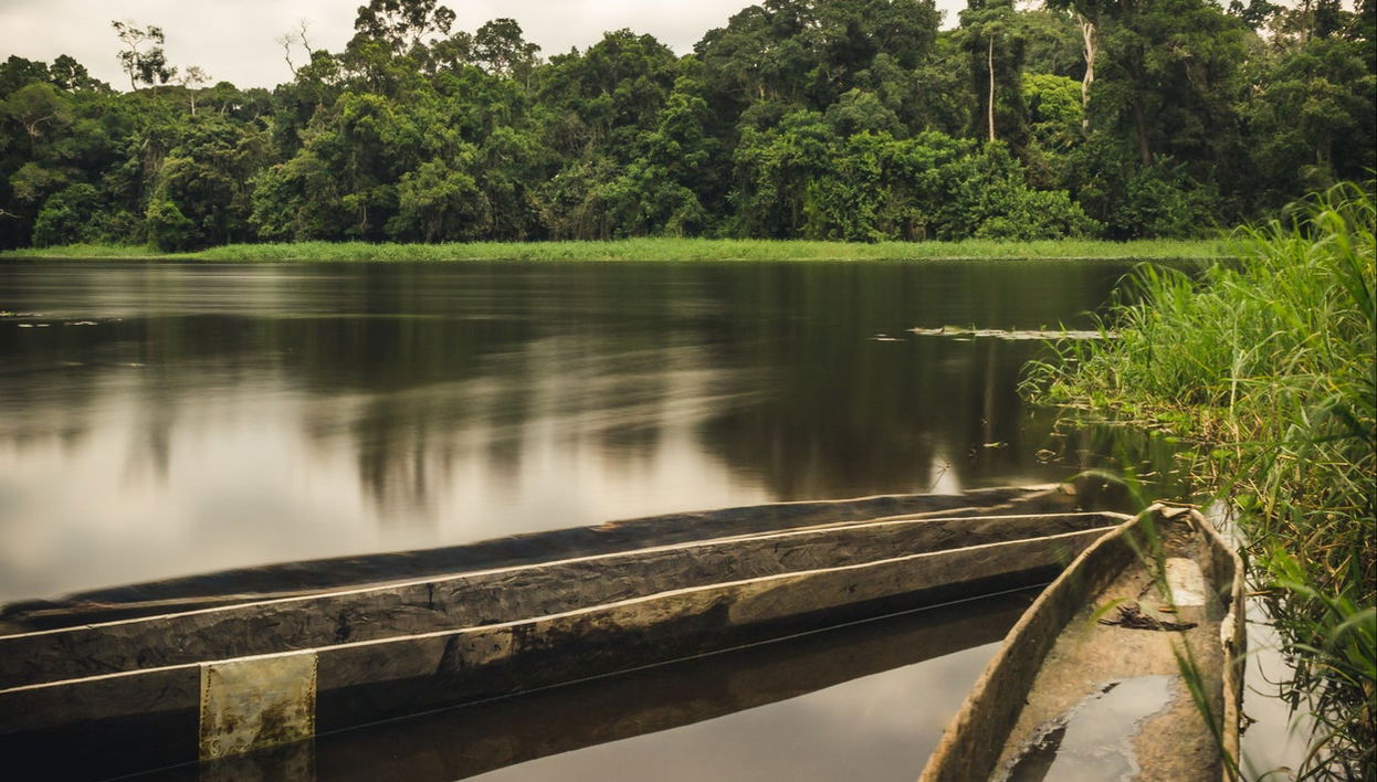 Excursión al Parque Nacional Mefou y reserva forestal Ebogo - Foto 1