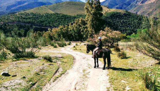 Paseo a caballo por la Alpujarra - Foto 4